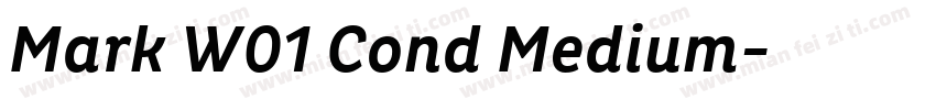 Mark W01 Cond Medium字体转换